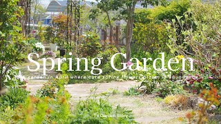 Garden in early April * A spring garden decorated with bright and cute flowers * Gardening