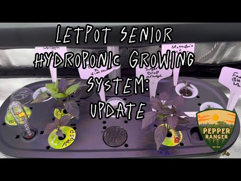 Indoor Grow Update: LetPot Senior Hydroponics Growing System