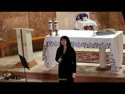 ZDUMIENIE Piotr Rubik, Zbigniew Książek,  Michał Gasz, cover Izabela Łyszczarz