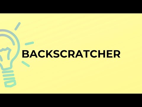 What is the meaning of the word BACKSCRATCHER?