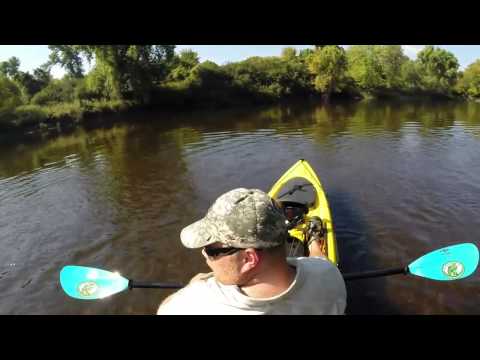 Je zult verrast staan kijken wat er langs komt rennen