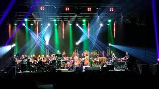 Raz Dwa Trzy Symfonicznie - Jeszcze w zielone gramy - Gdynia 2018