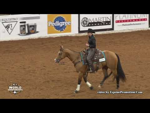 Shiners Darlin ridden by Sarah L. Dawson  - 2018 Celebration of Champions (Open Bridle, FINALS)