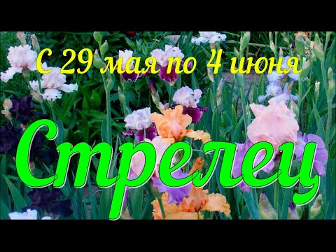 СТРЕЛЕЦ ♐️Неделя с 29 мая по 4 июня.