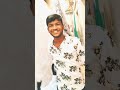 Kallu Kallu Vedisthunavey