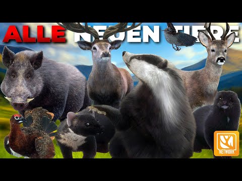 Ich habe ALLE NEUEN TIERE in SCHOTTLAND für die CHALLENGE gejagt.. DAS ist passiert.. 😨 Early Access