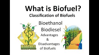 Biofuel Bioethanol Biodiesel Bioethanol production