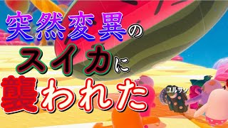 迫りくるスイカ⁉流行りに乗り遅れた男の戦いが悲しすぎた...【Fall Guys】