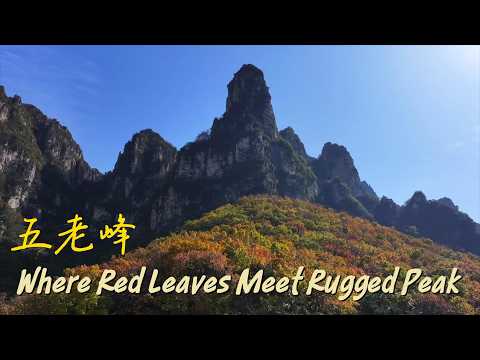 Where red leaves meet rugged peaks in Shanxi
