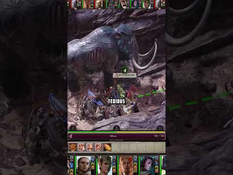 I Just Don't Understand Pathfinder: Wrath of the Righteous #gaming