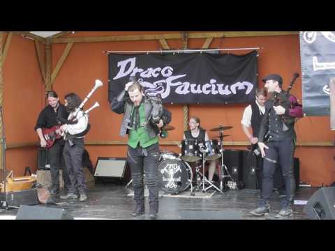 Draco Faucium am 10. 6. 2017 in Forst - Manitu