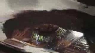 Shite+Shinola=SHYNOLA