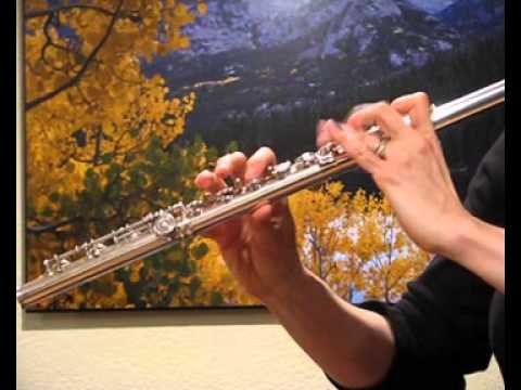 Haynes Handmade Professional Flute with Gold Headjoint - Inline G, B foot - Skips and Jumps