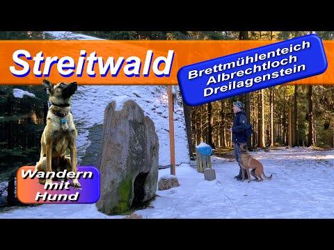 Wandern mit Hund - Streitwald - Albrechtloch - Brettmühlenteich - Dreilagenstein