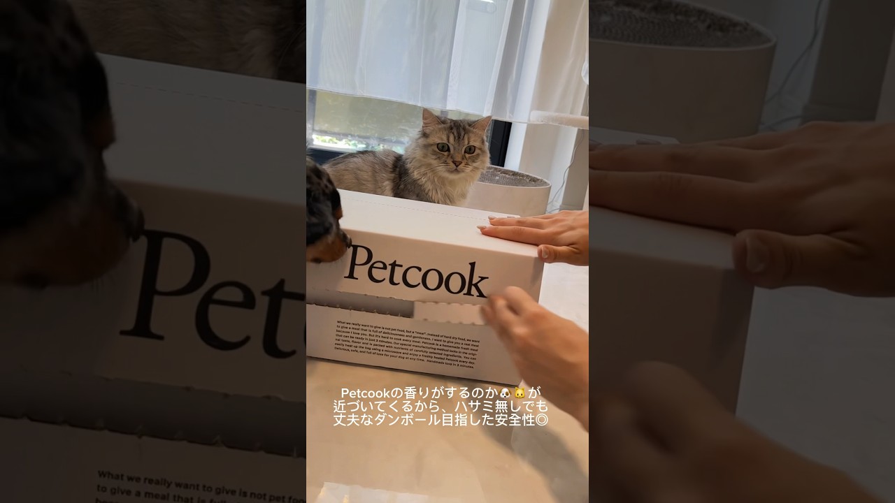 取り急ぎご報告です。(フードに関してお悩みの方向け)