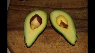 What to do if you cut an unripe avocado