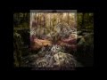 Wardruna - AnsuR + IwaR (with lyrics) 