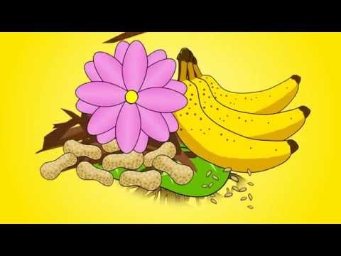 油脂（植物油）｜みんなの化学｜布施塾 (Fats and oils (Plant Oils) | Chemistry for All | The Fuse School)