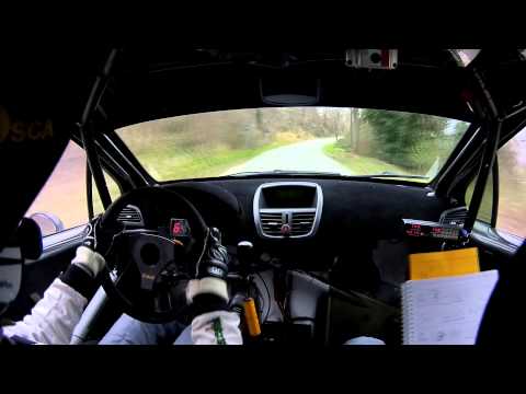 Paolo Diana - Rally Montefeltro 2015 - PS2 - on board - crash