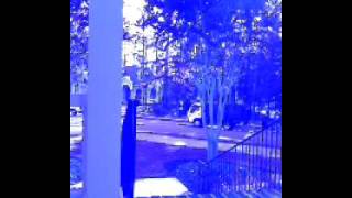 Sammy Snake Adventures