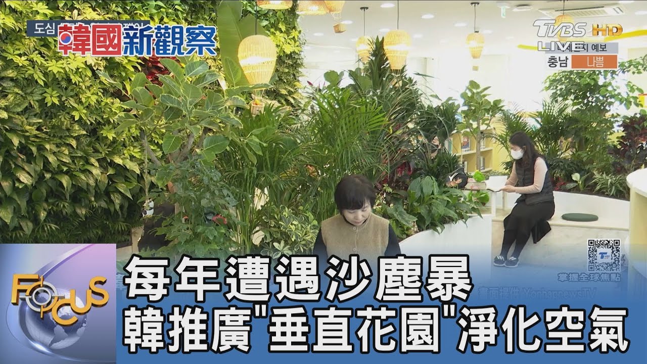 每年遭遇沙塵暴 韓推廣「垂直花園」淨化空氣