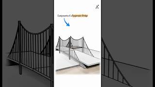 Components of a Suspension Bridge: Explained!