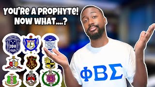 What To Expect When You Become A Prophyte | NPHC Advice