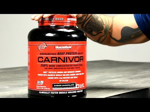 Carnivor Hydrolyzed Beef Protein Review