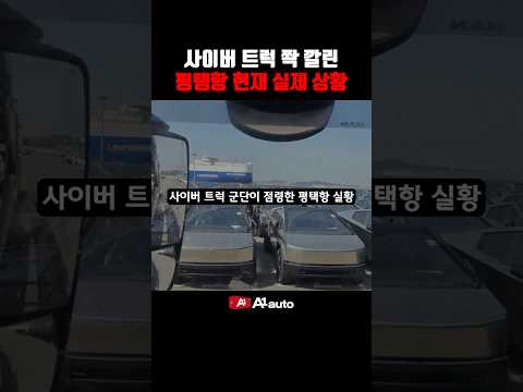 사이버 트럭이 평택항에 가득 찬 이유