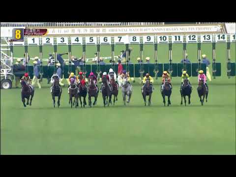 勇戰神駒21/10/17……(101)第八塲二級1600米( 巡邏影片)