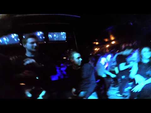 Soon online: Meeuwen in Mierlo 2015