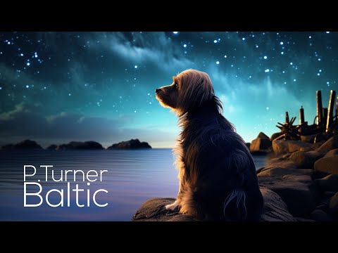 P.Turner - Baltic