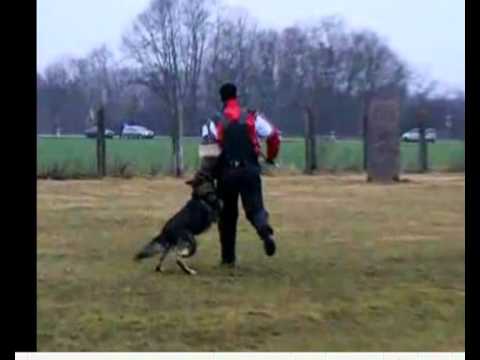 TrainingDirkSchimank.mp4