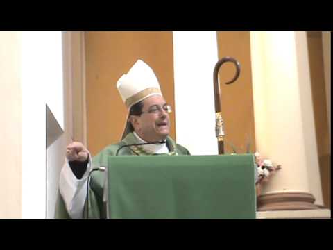 Homilia 17 de agosto de 2014