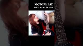 Motörhead - Born to Raise Hell (Bass Cover) #Shorts