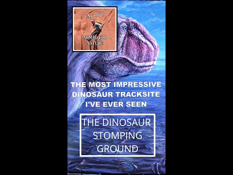 The Most Amazing Track Site Ever! Dinosaur Stomping Grounds, Moab ~ Utah