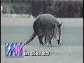 Bonus 80s Commercial Vol 1 9 9 1982