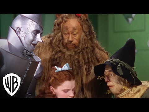 Thumbnail of the video: "Wizard Says Go Away"
