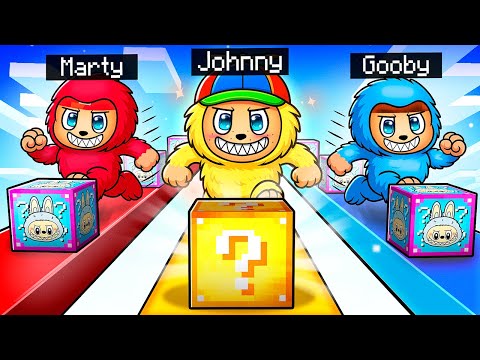 Playing an LABUBU LUCKY BLOCK RACE In Minecraft!