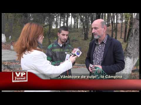 „Vanatoare de vulpi”, la Campina