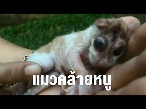 หวย เลข เด็ด vip facebook