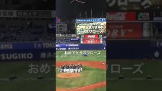 東京ヤクルトスワローズ2021セリーグ制覇を祝う優勝の胴上げ　#優勝 #ヤクルトスワローズ  #プロ野球