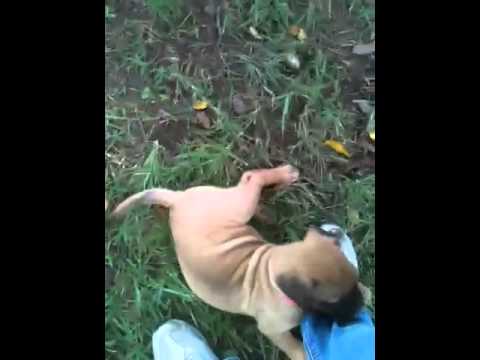 Ravin 14 playing 9-16-14