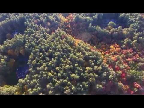 Fall Colors From Carlisle to Acton MA, Drone Footage (Full Flight)