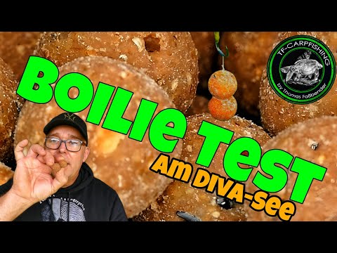 Carp fishing VTB #183 - Boilie test on Divasee #boilies #test #2025 #prototype