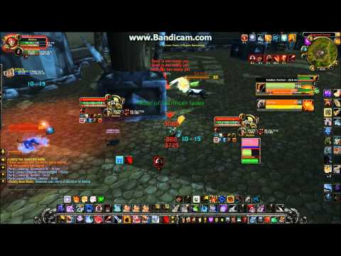 MalivaHunter -- Hunter / Ret - 5 games