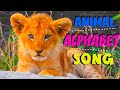 ANIMAL ALPHABET SONG KIDS ABC A Z Animals