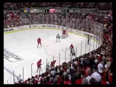 Top 10 Detroit Red Wings Plays from 2008-2009 season