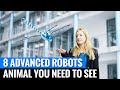 8 ADVANCED ROBOTS ANIMAL YOU NEED TO SEE