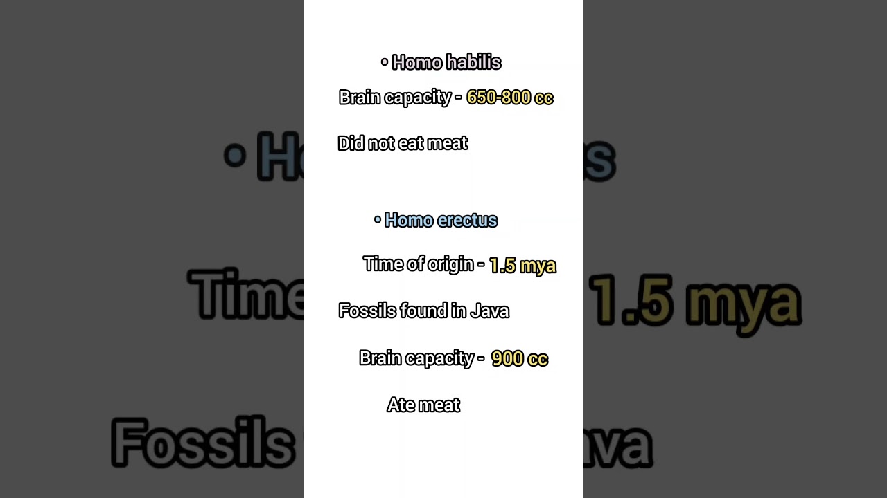 Origin and Evolution of Man | Class 12 Biology #neet #shorts #shortsvideo